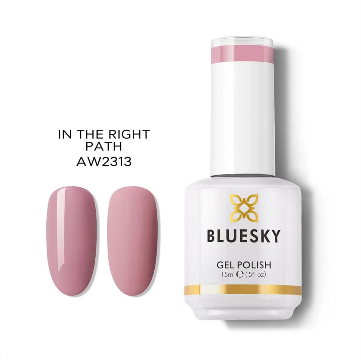 Bluesky Uv Gel Polish AW2313P In The Right Path 15ml