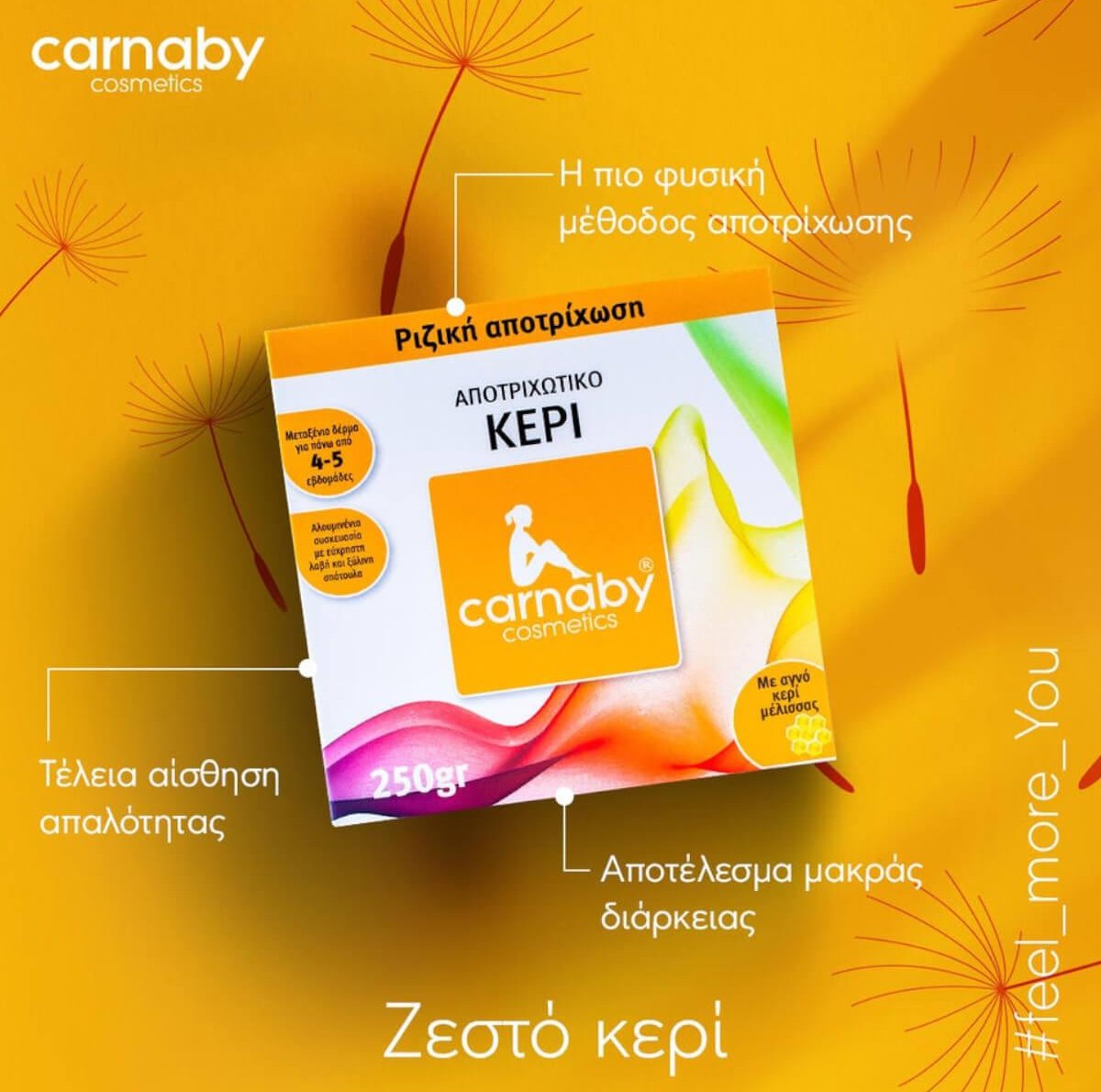 Carnaby Warm Wax Depilatory