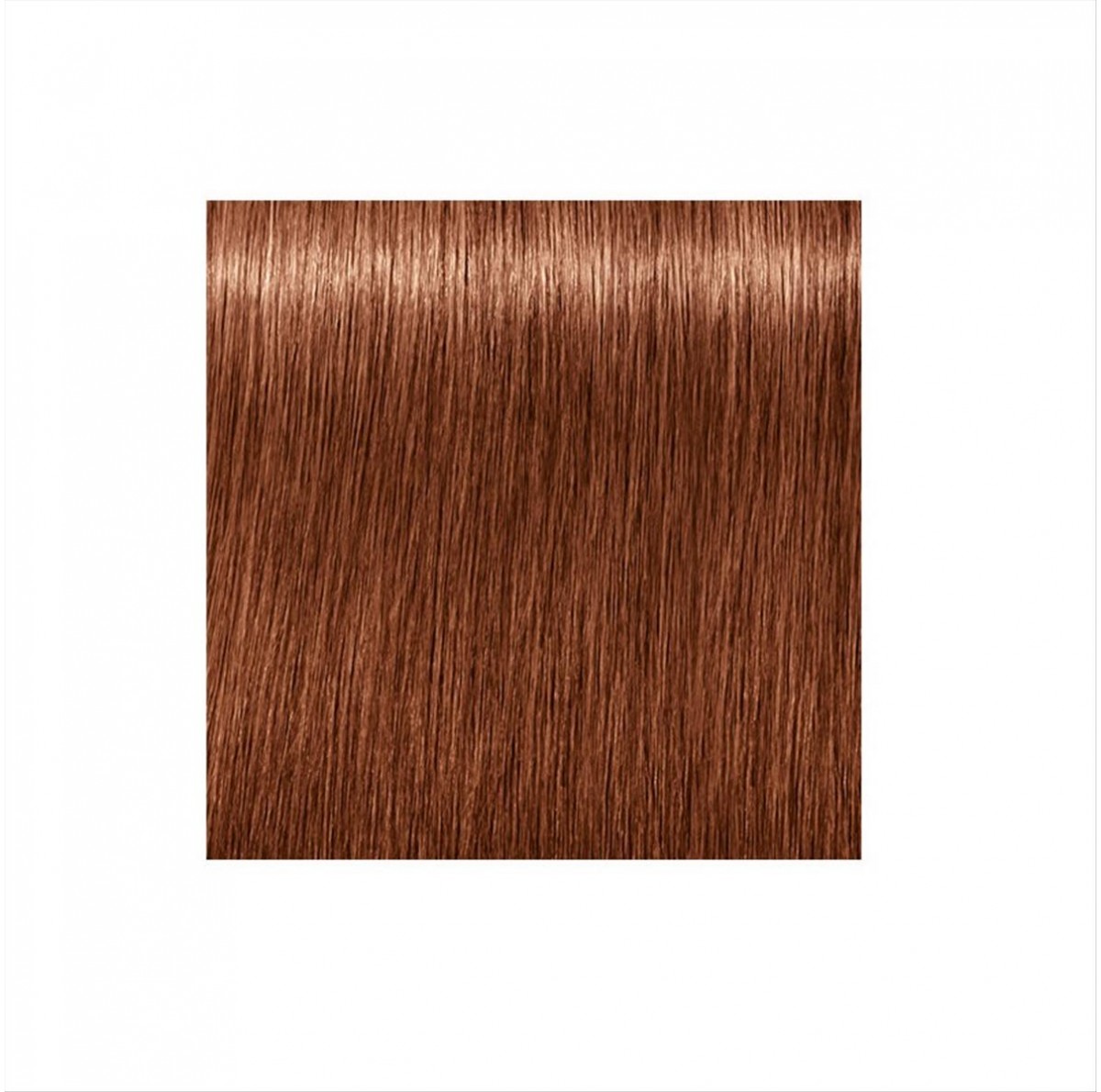 Schwarzkopf Igora Royal Absolutes 7-560 60ml