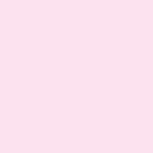 05 Sakura