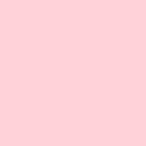 08 Begonia