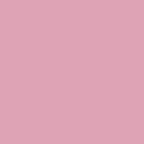11 Carnation
