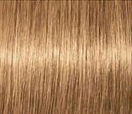 8-50 Ξανθό Ανοικτό Χρυσό Φυσικό